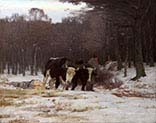 Hauling the Log